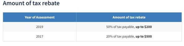 Income tax rebate in 2017 and 2019