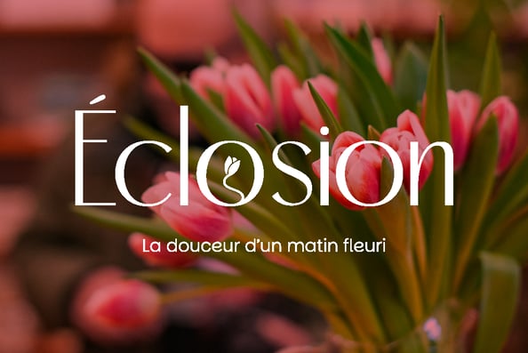 Logo - Identité visuelle - Fleuriste - Éclosion - Amy Atelier Graphique