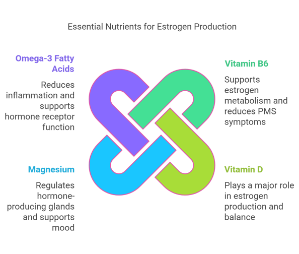 a diagram of the different types of vitamins that helps estrogen production