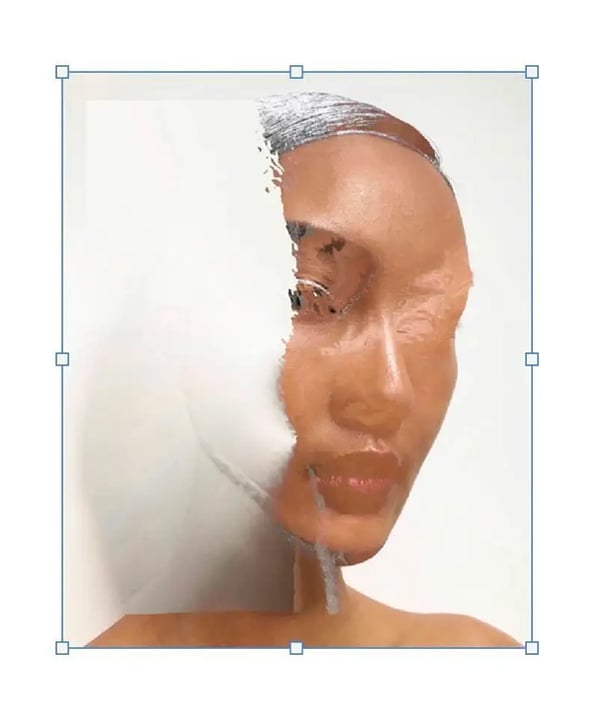 portrait, visual art, joanna wlaszyn 