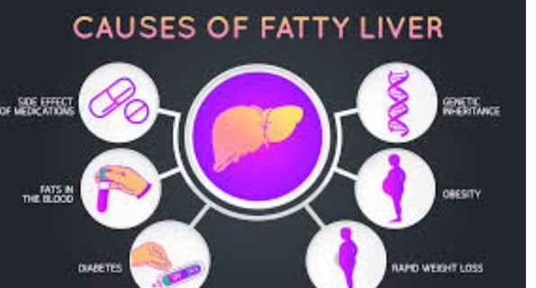 Fatty Liver Disease Can Show Up  