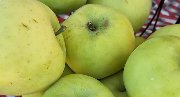 transparent apples