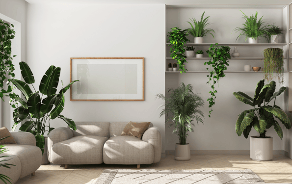Indoor Plants Design