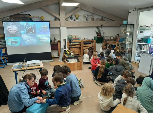 enfants dans une classe Montessori avec boite à requins et des requins rigolos en vidéo