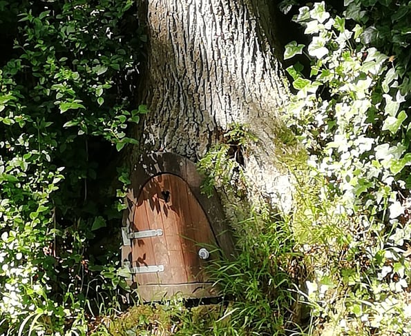Petite porte au pied d'un chêne au Bois-de-Cise