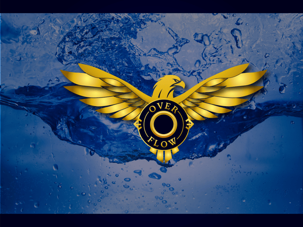 You Are The OverFLow logo