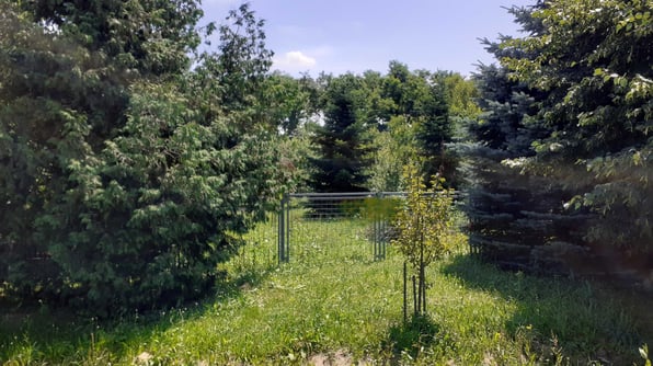 Baugrundstück in der Nähe von Marcali