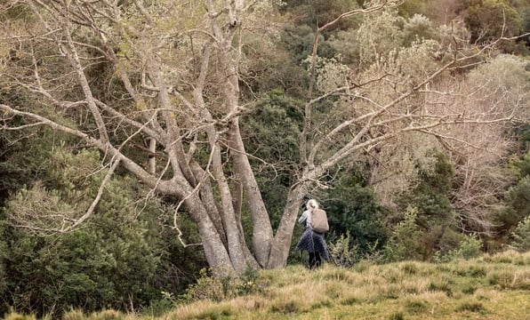 Photographer standing beneath tall trees in a natural forest during a Swellendam photography retreat.