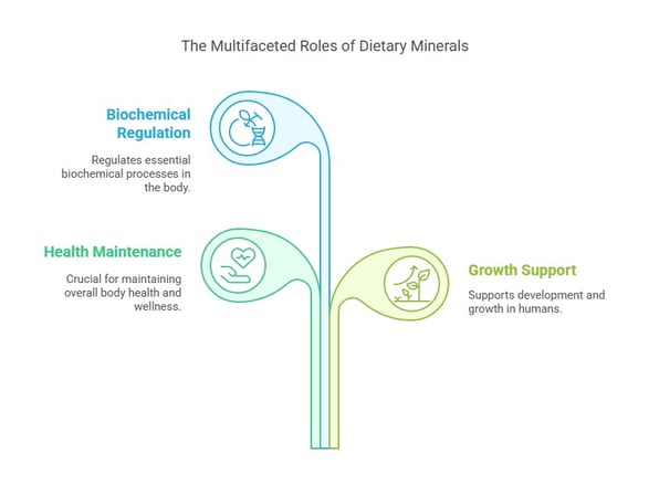 roles of Minerals