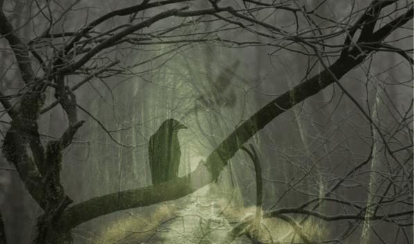shadowy crow on a branch symbolising the nature of shadow like an exile