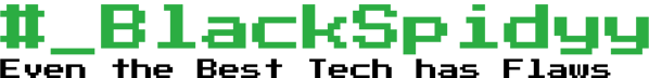 BlackSpidyy logo