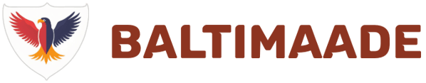 BALTIMAADE MITTETULUNDUSÜHING TEISES MAAILMASÕJAS LANGENUD SÕDURITE RAHVUSVAHELISEKS OTSINGUKS logo