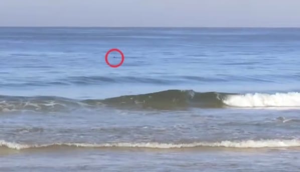 a red circle with a red ring on it