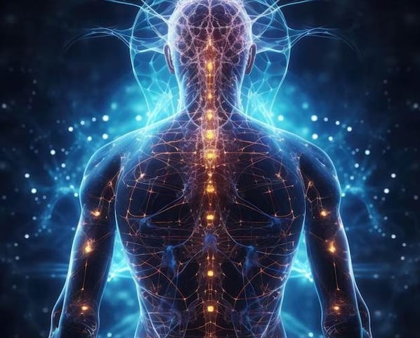 human energy field