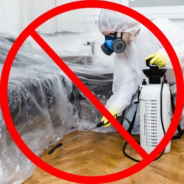 exterminator sprays for bed bugs under a covered mattress