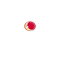 Luna Rossa logo