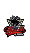 Florida Auto Prime logo