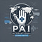 Pai International logo