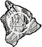 BICYPAA logo