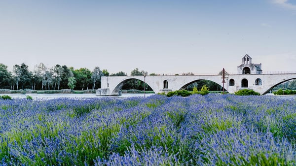 Avignon et ses alentours VTC