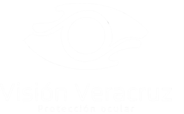 Vision Veracruz protection ocular logo