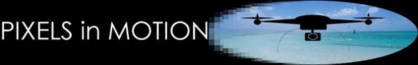 Pixels in Motion logo