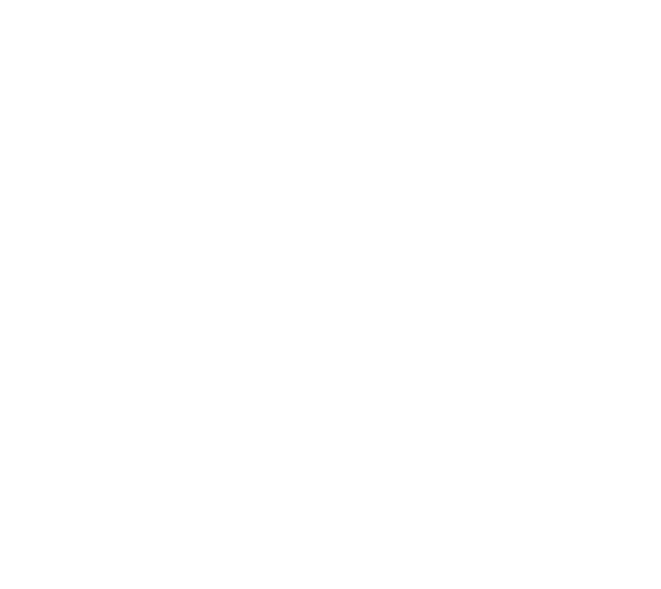 StageLinc logo