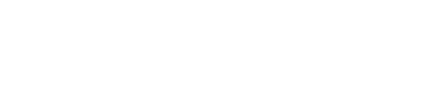 Globimax logo