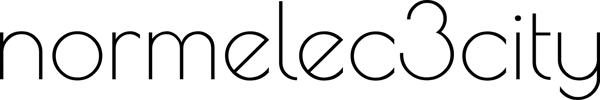 normelec3city logo