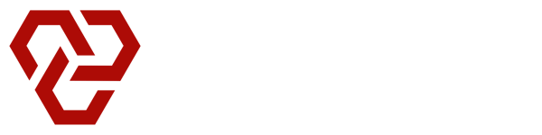 Deep Solutions logo