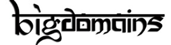 BigDomains logo