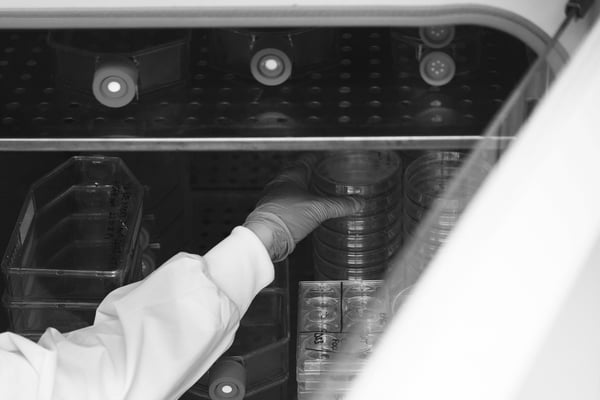 Scientist handling protein samples in a laboratory