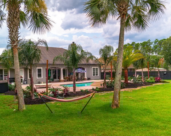 Coastal Creations backyard palm installation