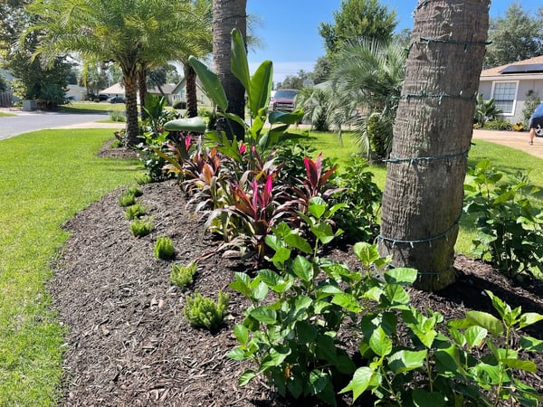 Joe Calo assessing a coastal property for landscape design