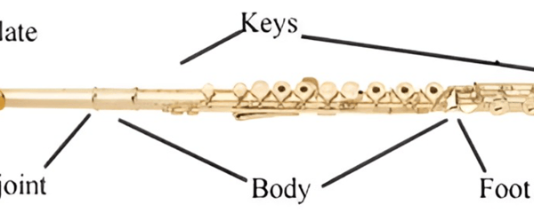 Flute diagram