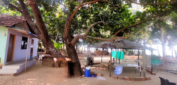Nestle Sahyadri Beachfront Homestay Murdeshwar