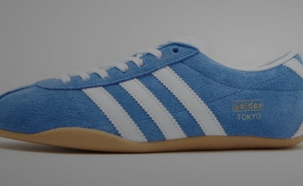a blue and white adidas sneakers with a white and blue shoelaced on