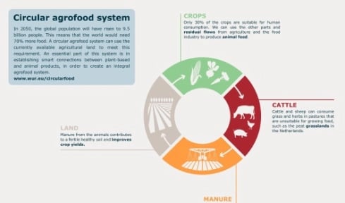 A chart explaining Circular Agrifood System