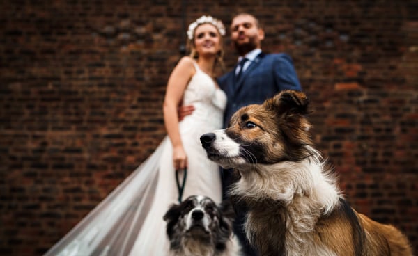 Liverpool barn wedding venue, Knowsley wedding venue, rustic farm, boho, dogs