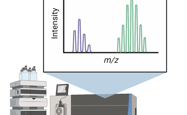 SMART-MIT collaboration and Kuan Rong Chan for metabolomics