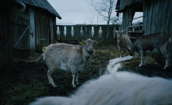 Mazasis menulis, little moon, color grade, colorist, justinas vencius, elena kairyte, odeta riskute,