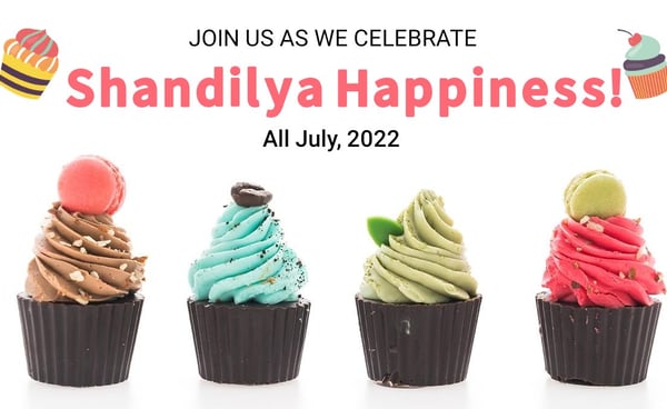 VARIETY OF ICE CREAMS AND FRUIT CHATS