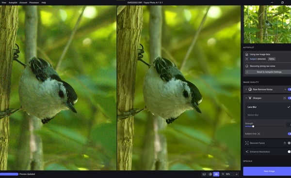 Denoise does a great job removing noise, and sharpening does a fantastic job of sharpening....