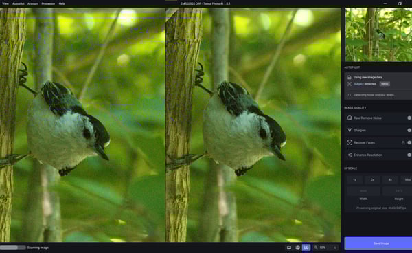 Upon importing an image, you're instantly greeted by a before/after view with default settings