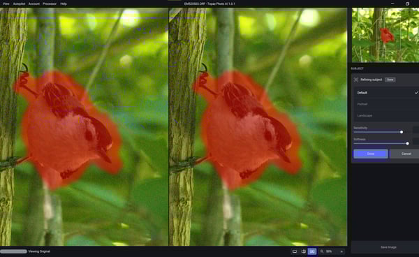 Increasing sensitivity expands the subject mask, while softness behaves like feathering.
