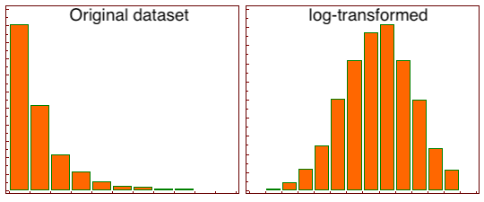 log-transform, python