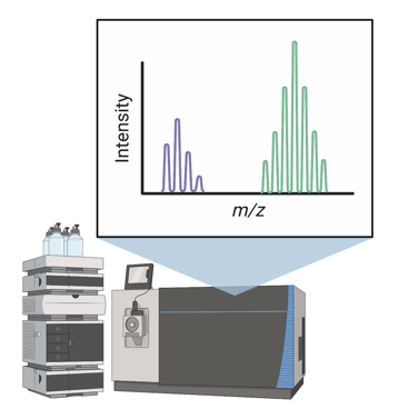 SMART-MIT collaboration and Kuan Rong Chan for metabolomics