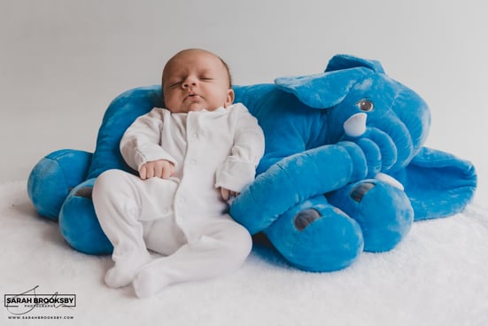 Newborn photography studio Norwich Norfolk Suffolk, newborn baby photography Norwich Norfolk Suffolk