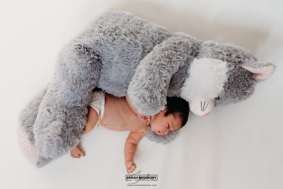 Newborn photography studio Norwich Norfolk Suffolk, newborn baby photography Norwich Norfolk Suffolk