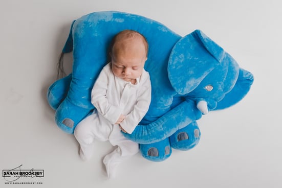 Newborn photography studio Norwich Norfolk Suffolk, newborn baby photography Norwich Norfolk Suffolk